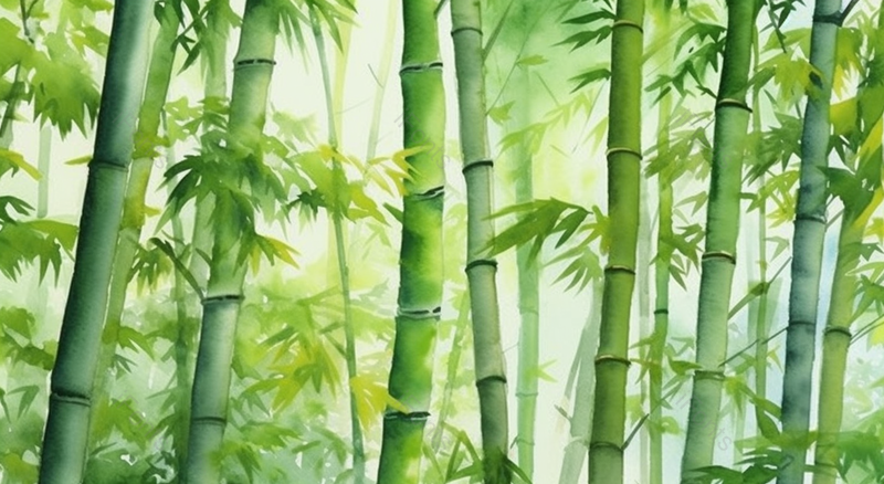 中国风水彩绿竹林画,插画/手绘图,插画/手绘图库,插画/手绘图下载,插画/手绘
